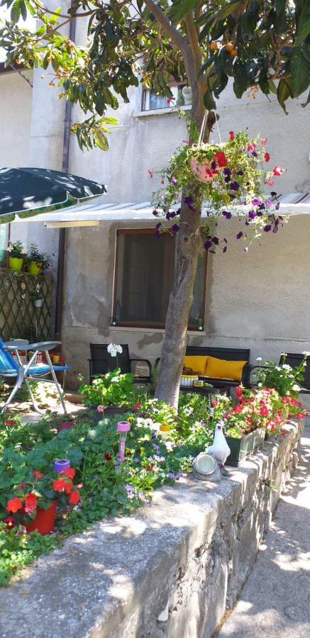 Casa Vacanze Poison Trieste Extérieur photo